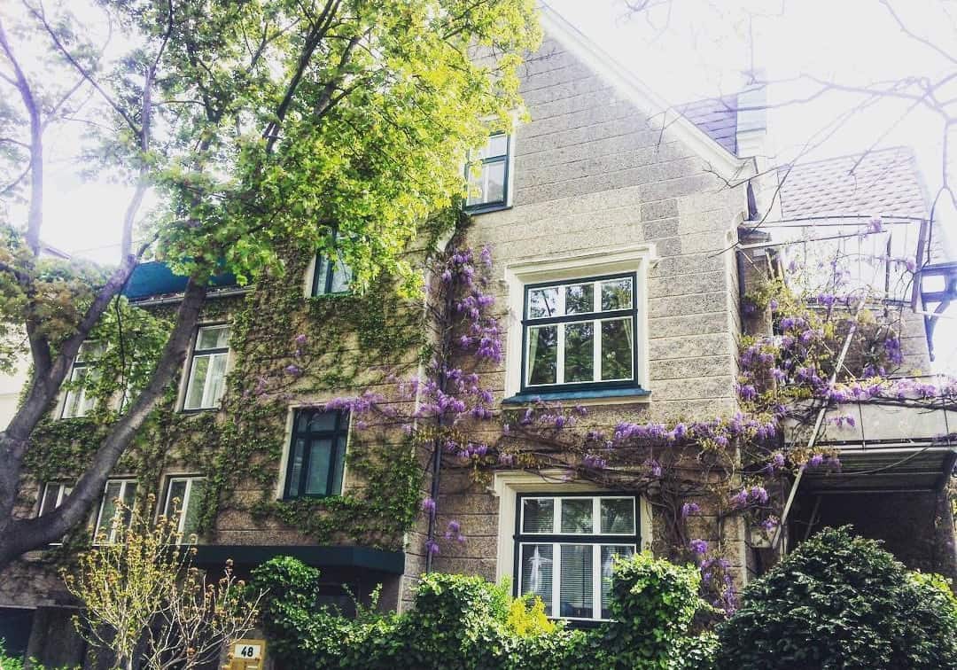 (c) 1000things.at / Marie Amenitsch Cottageviertel 1190