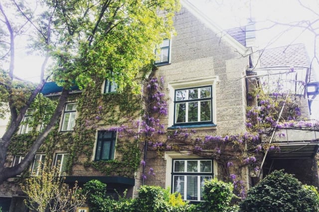 Cottageviertel 1190