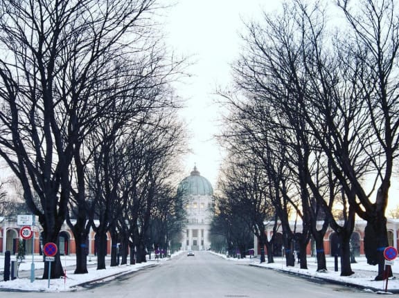 Zentralfriedhof im Winter