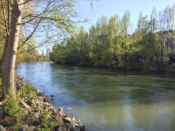 Donaukanal