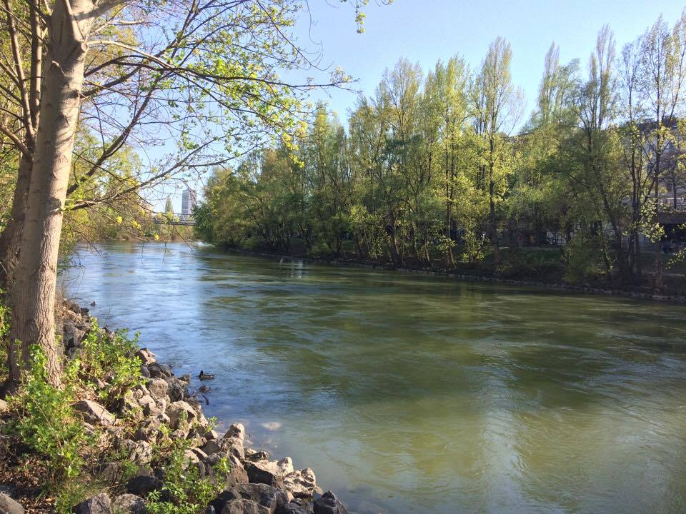 (c) Marie Amenitsch | 1000things Donaukanal