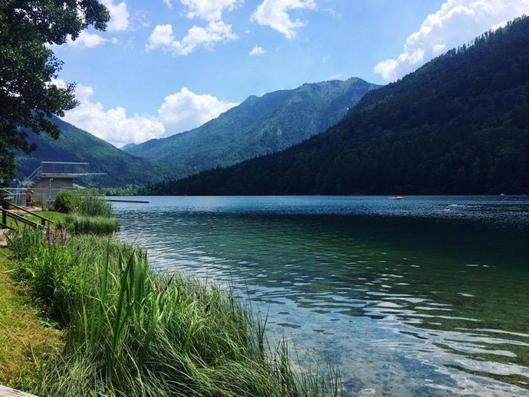 Blick auf den idyllischen Lunzer See, umgeben von bewaldeten Bergen und sanften Hügeln. Das klare Wasser spiegelt den Himmel und die Natur wider. Am Ufer wachsen Schilf und Gras, während im Hintergrund ein modernes Holzgebäude zu sehen ist. Die Szene vermittelt Ruhe und Naturverbundenheit an einem sonnigen Tag mit blauem Himmel und weißen Wolken.