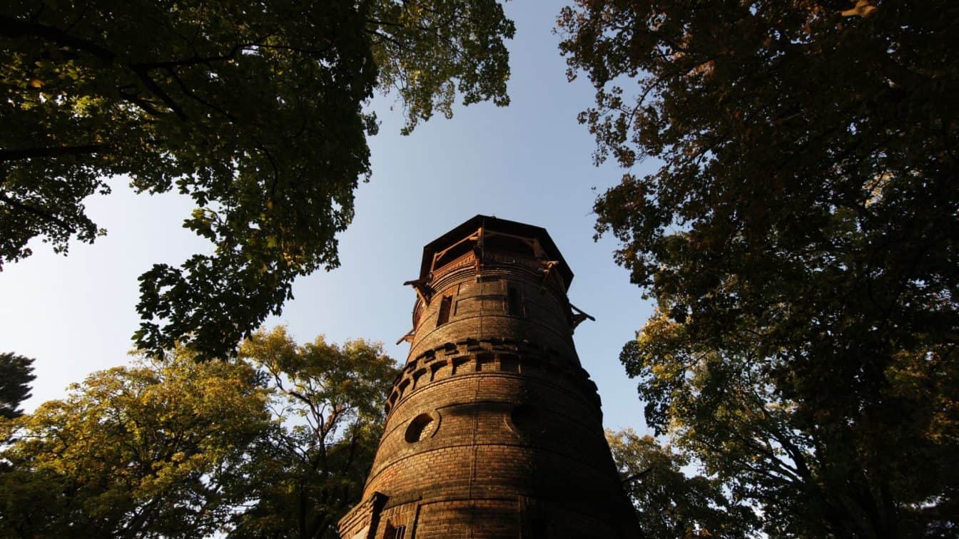 Der Wiener Türkenschanzpark (c) MA 42 | Lammerhuber Der Wiener Türkenschanzpark (c) MA 42 / Lammerhuber