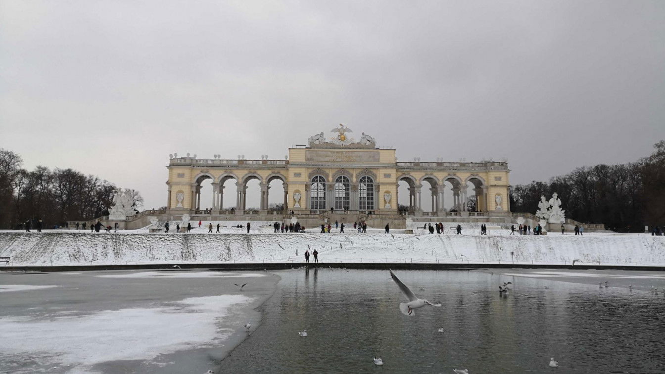 (c) Viktoria Klimpfinger | 1000things Gloriette Schönbrunn