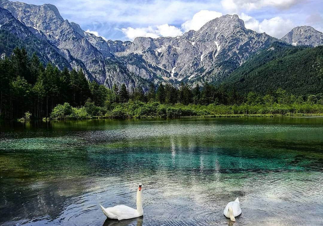 (c) Lisa Oberndorfer | 1000things Almsee