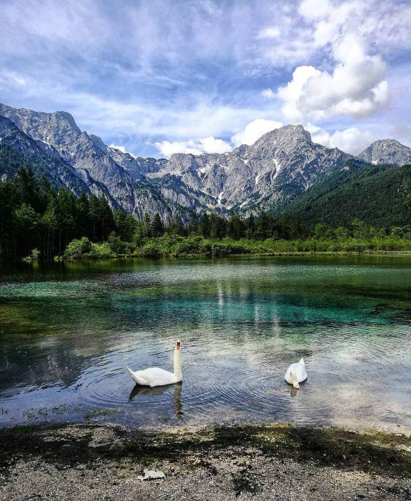 Almsee