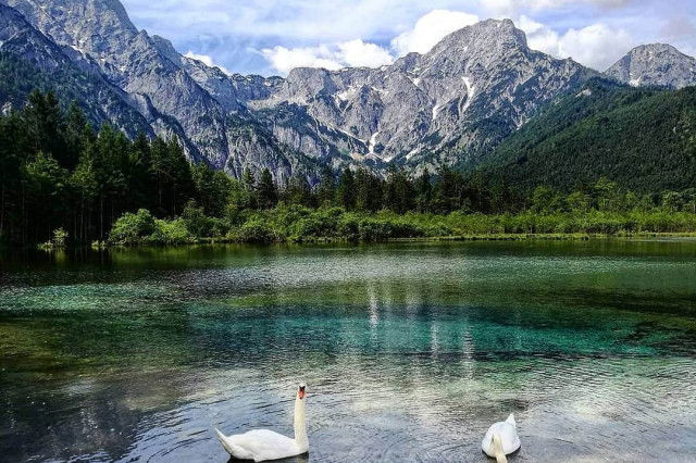 Almsee