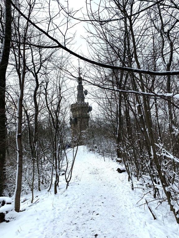 Schnee in Wien