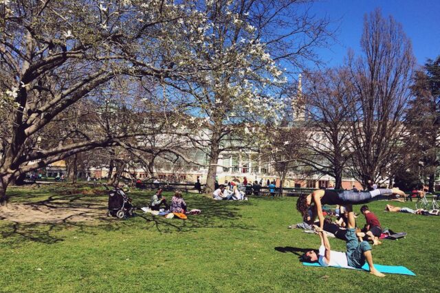 picknicken in wien