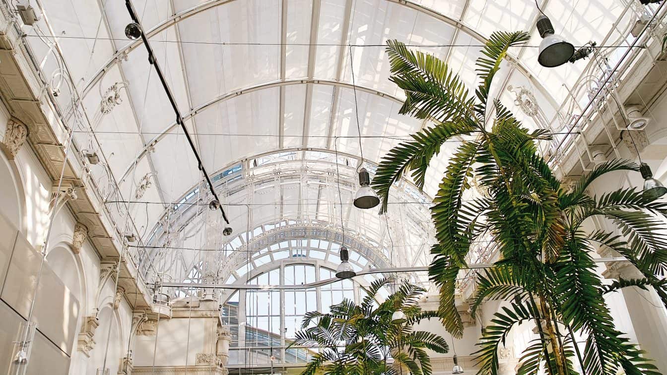 Unter Palmen und Glasdach fühlt es sich auch im Dezember tropisch an (c) Gregor Lechner | Palmenhaus Das Deck des Palmenhauses (c) Gregor Lechner | Palmenhaus