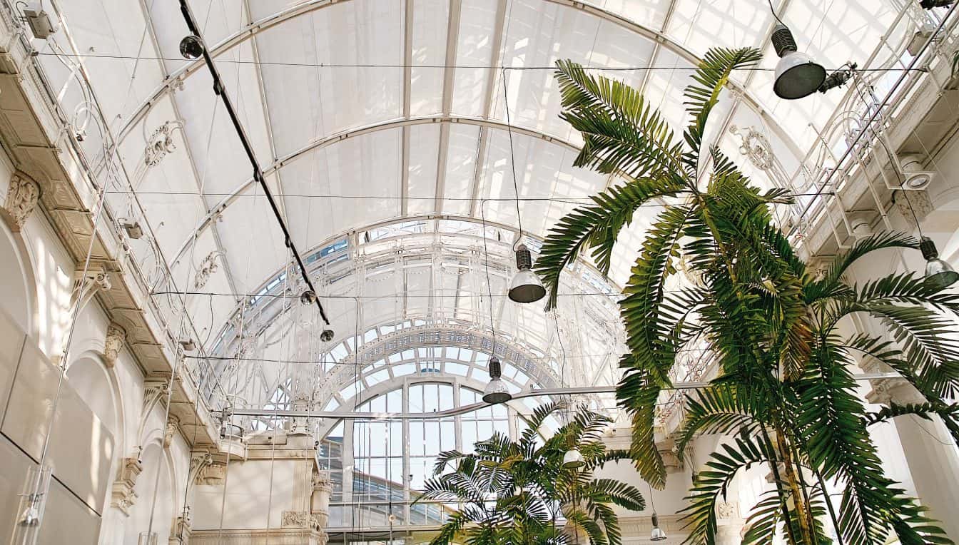 Das Deck des Palmenhauses (c) Gregor Lechner | Palmenhaus