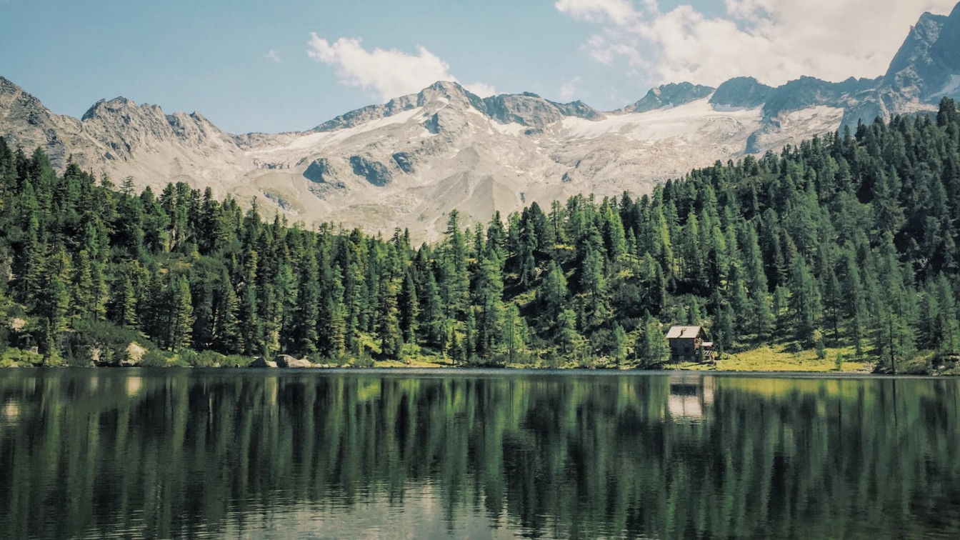 (c) Jan Pöltner | 1000things Reedsee