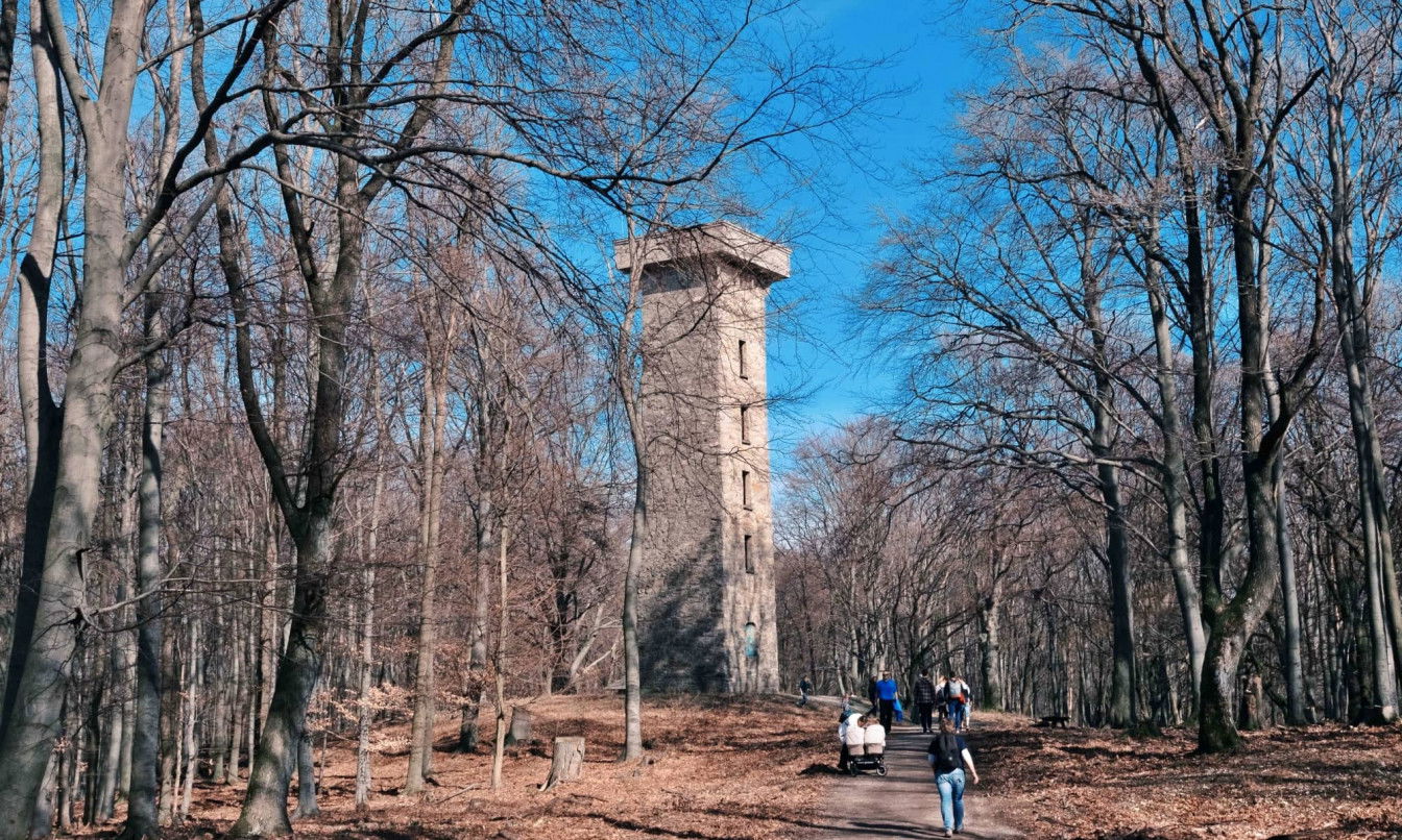 Hubertuswarte im Lainzer Tiergarten