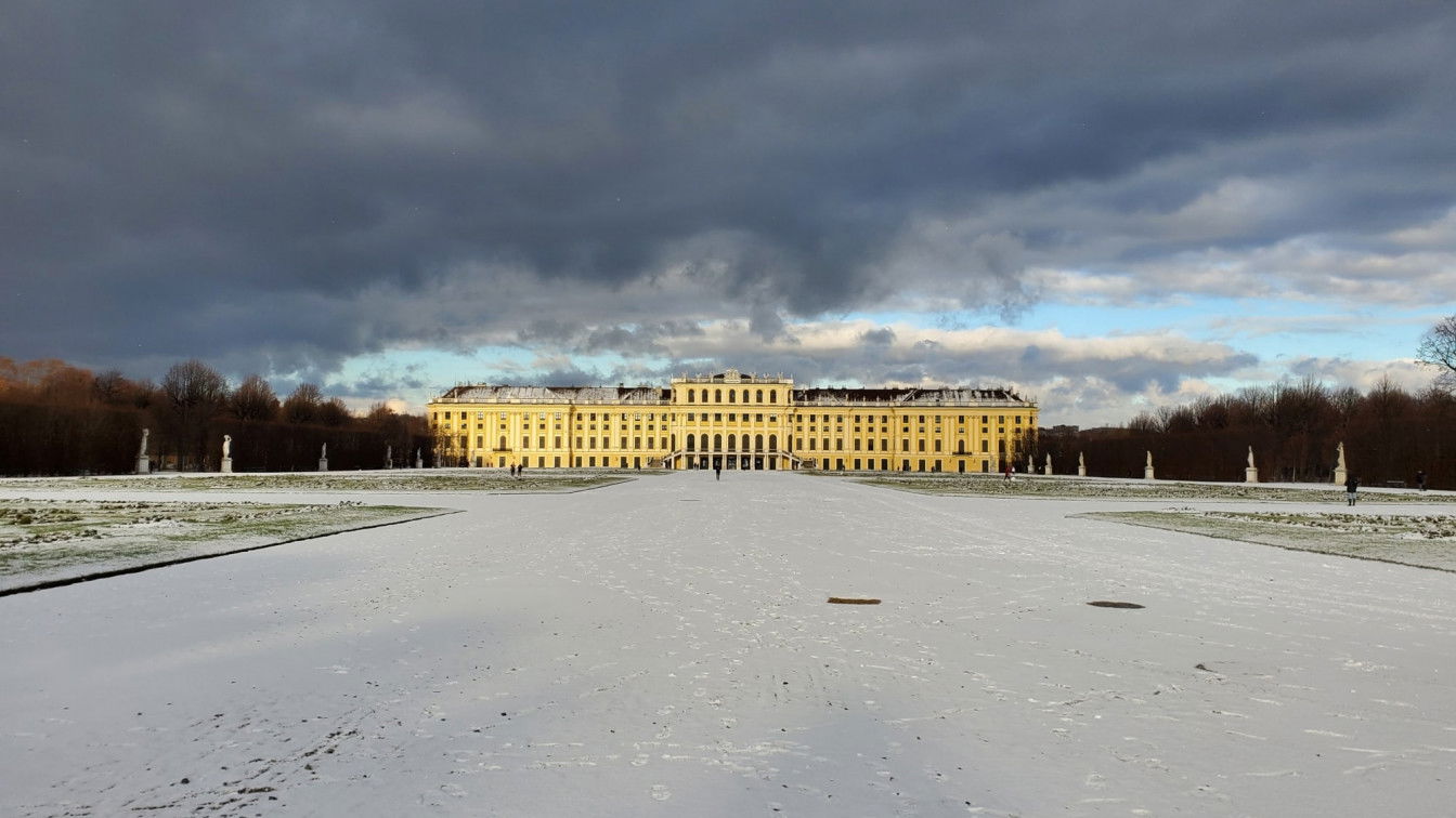 (c) Pia Miller-Aichholz | 1000things Beitragsbild