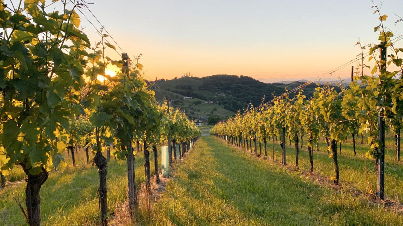 Suedsteiermark