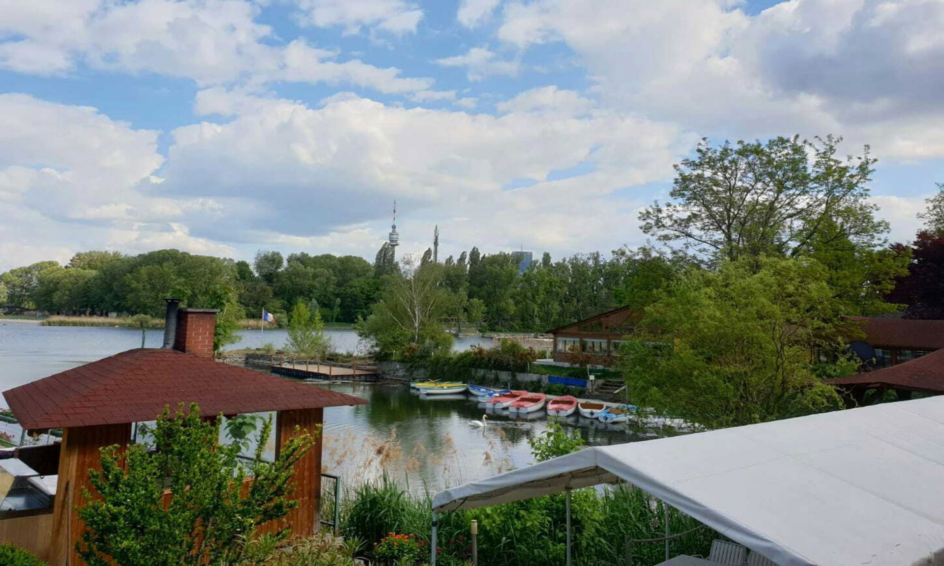 Alte Donau