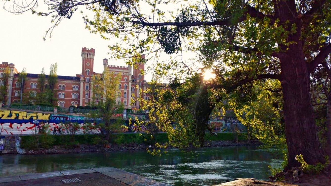 (c) Luisa Lutter Donaukanal Wien Sommer