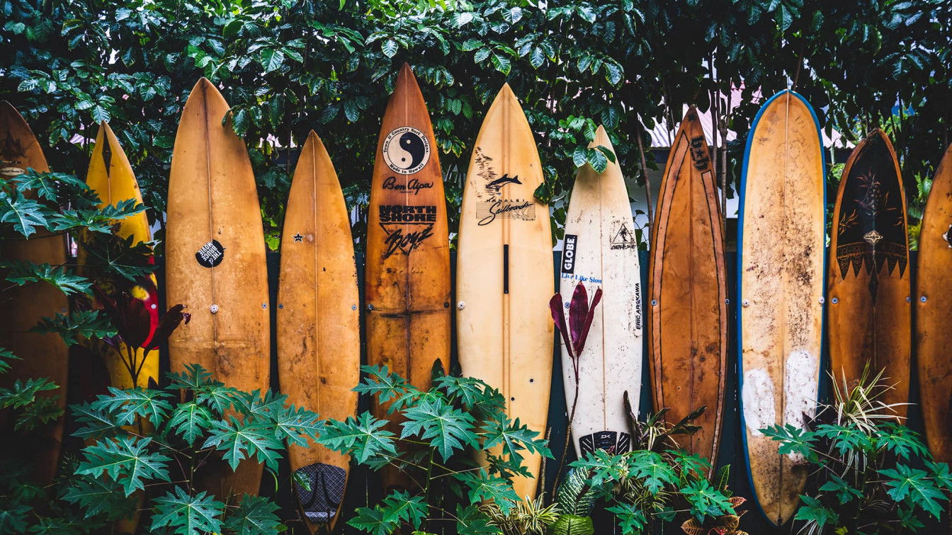 (c) Tatonomusic | Unsplash Surfen in Österreich