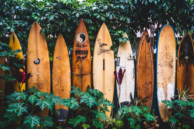 Surfen in Österreich