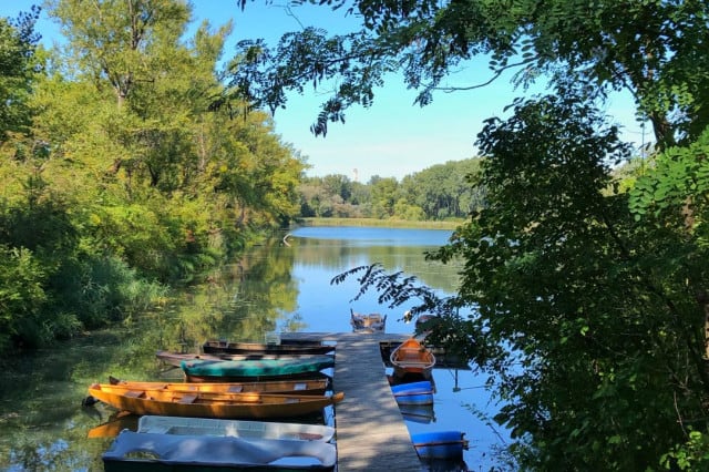 Lobau