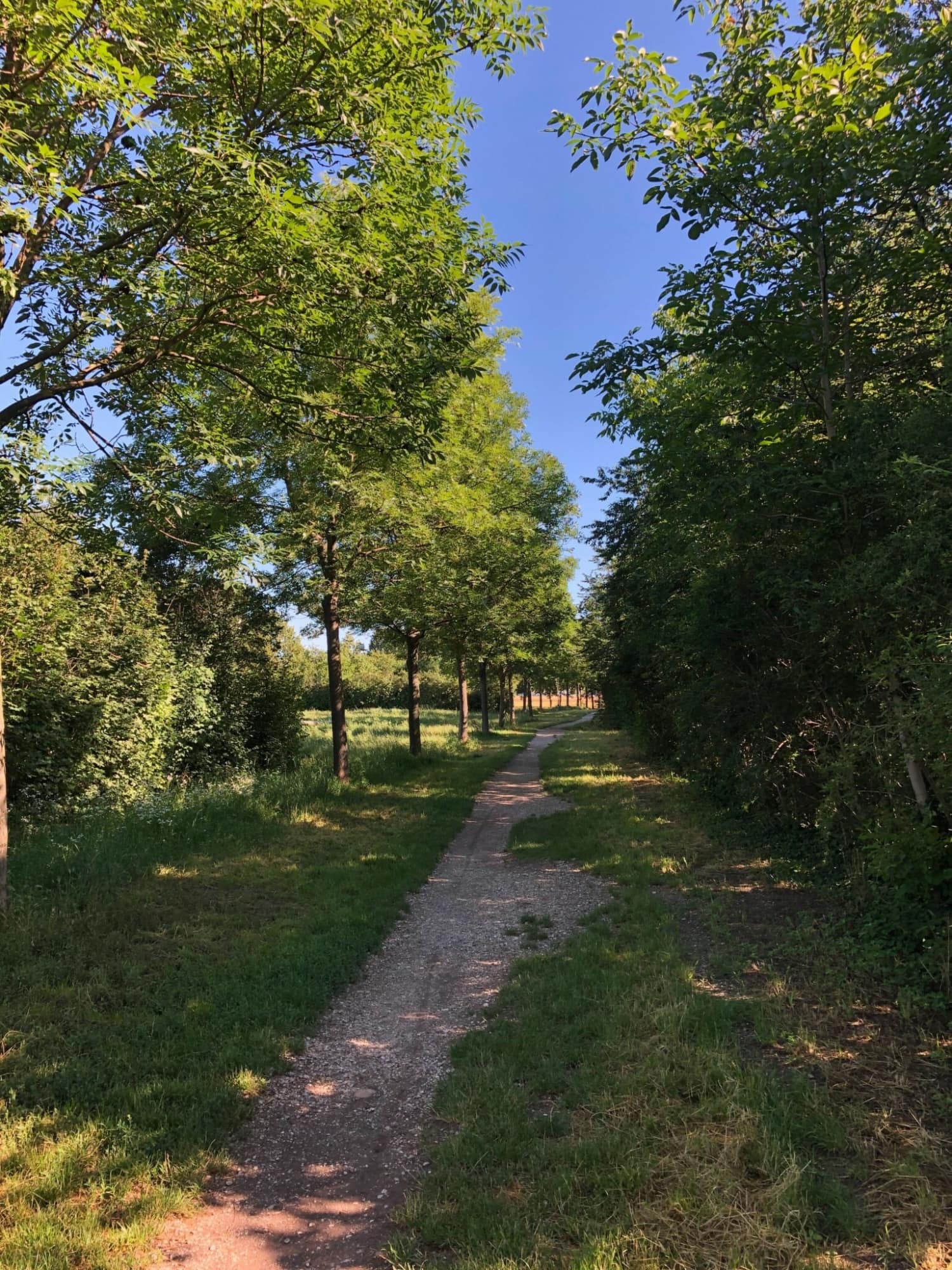 Stadtwanderweg 10