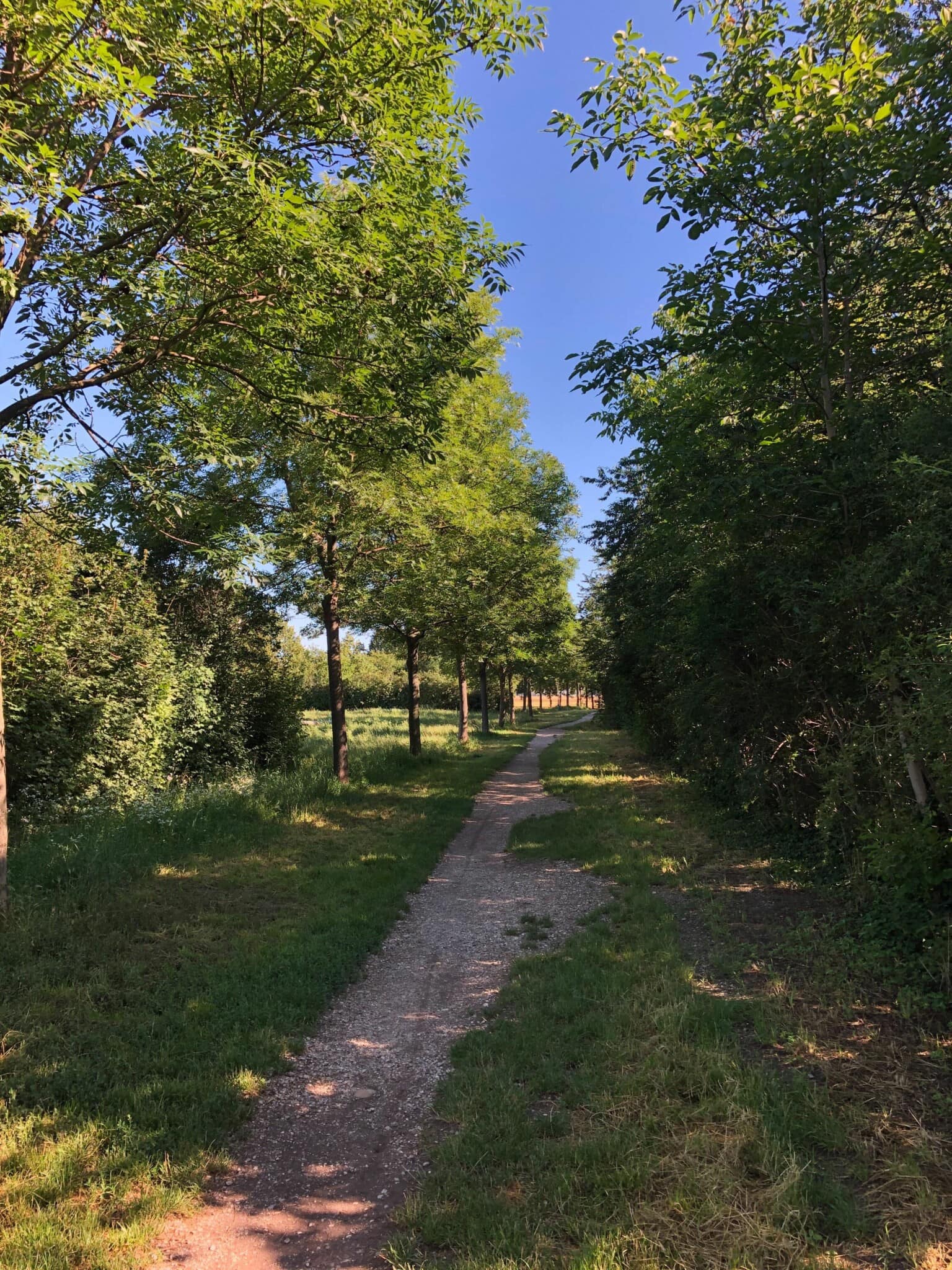Stadtwanderweg 10