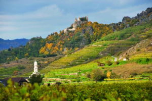 weinregionen in österreich