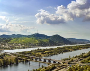 weinregionen in österreich
