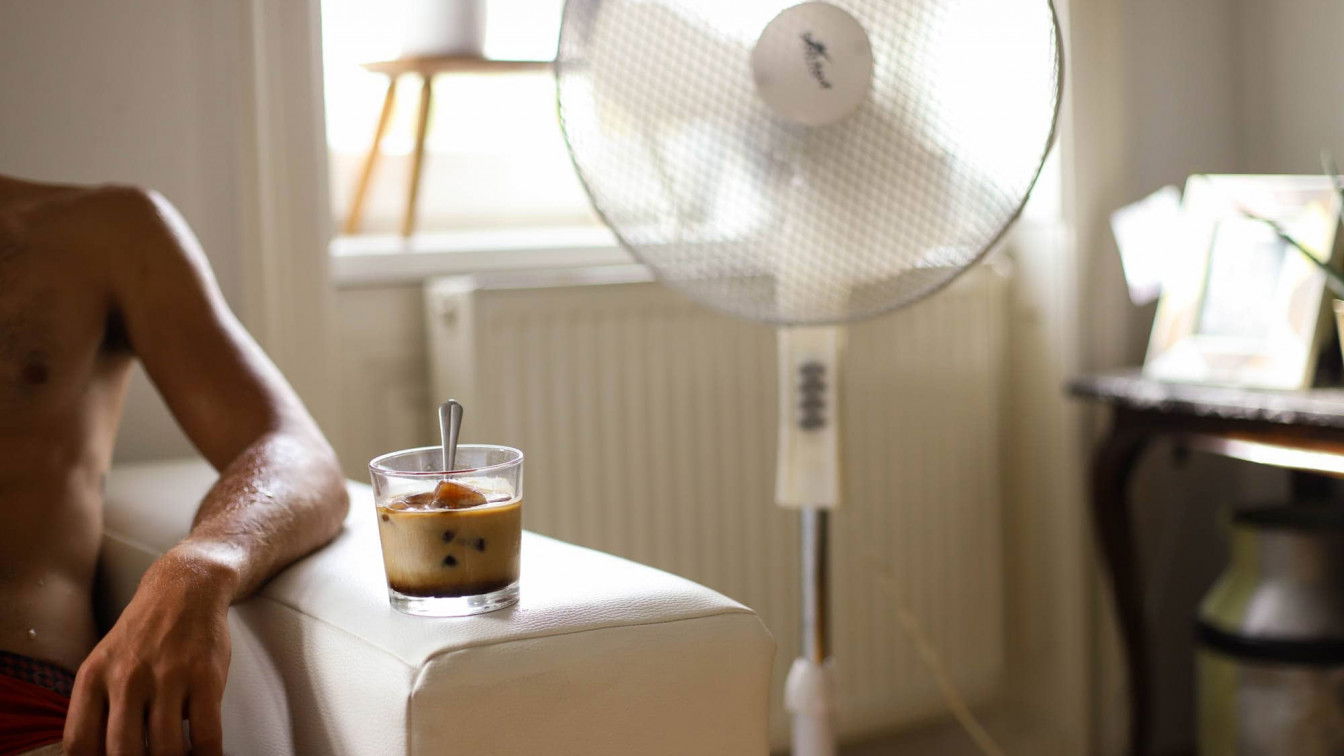 (c) Magdalena Mösenlechner |1000things Sommer