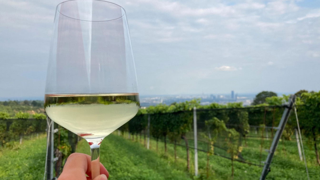 (c) Luisa Lutter | 1000things September in Wien
