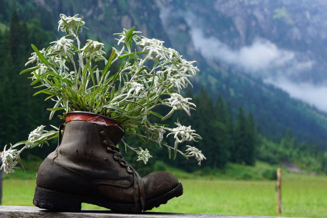 Wandern