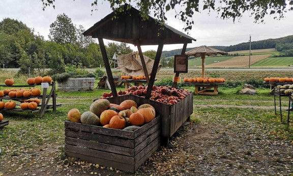 Kürbisranch