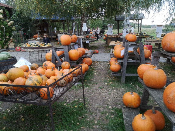 Kürbisranch Asperhofen