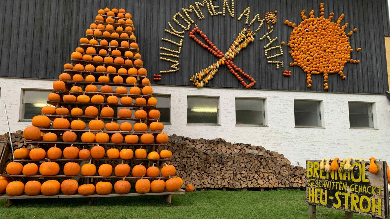 (c) Lisa Oberndorfer | 1000things Kürbisse beim Franzlbauer