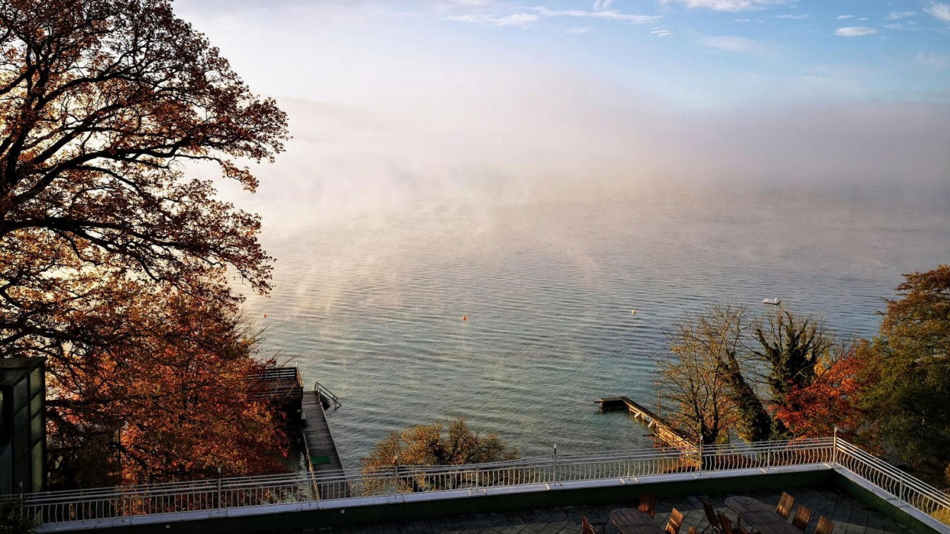 https://pixabay.com/de/photos/attersee-ufer-see-nebel-herbst-4768981/ Attersee Herbst