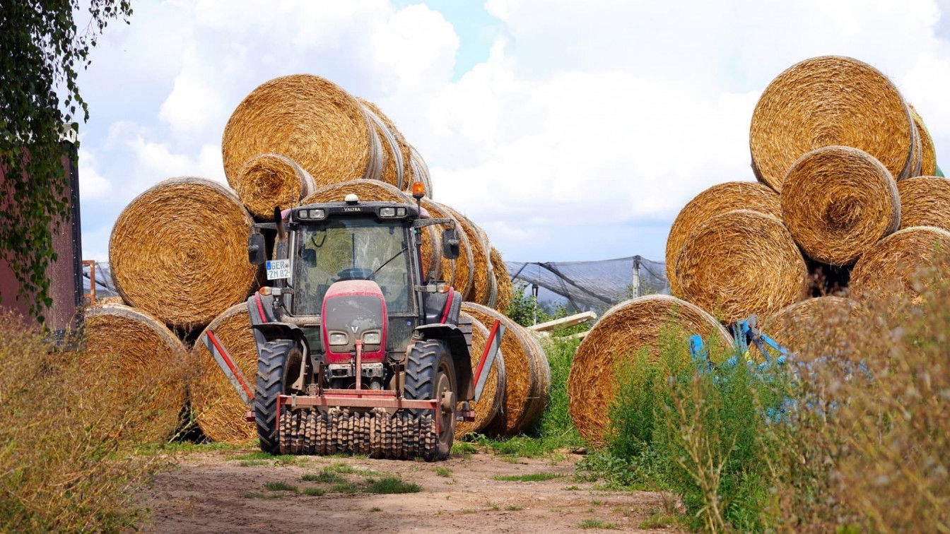 https://pixabay.com/de/photos/traktor-heuballen-landwirtschaft-5519718/ am Land aufgewachsen