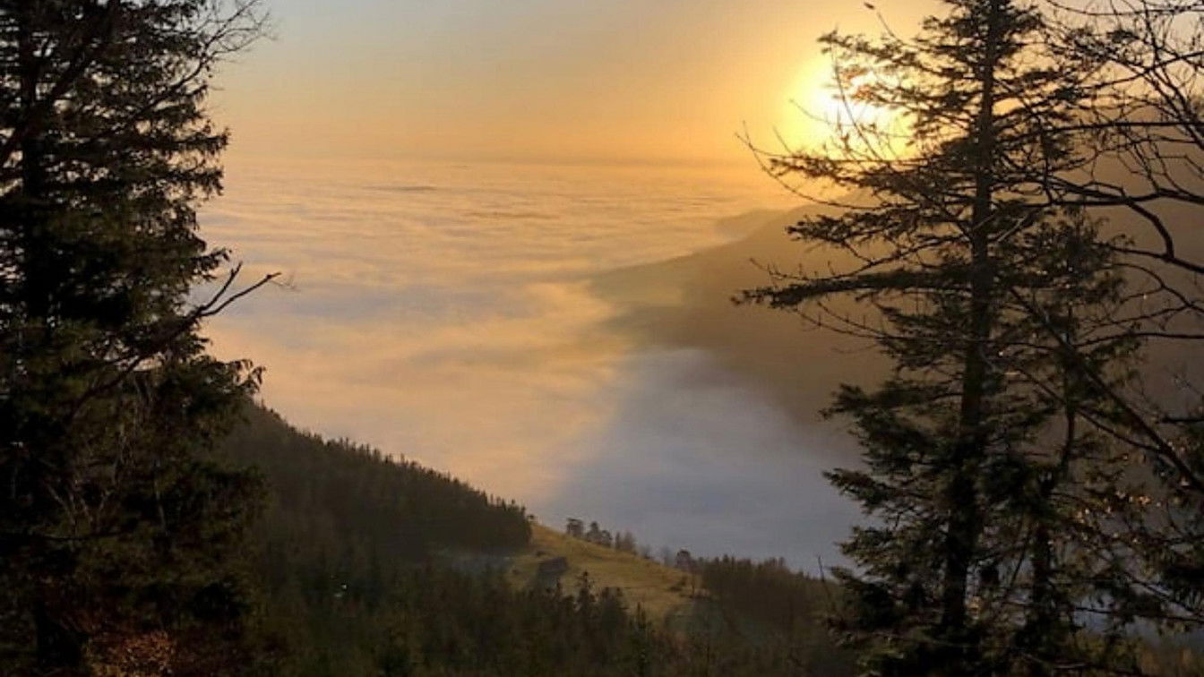 (c) Monika Gschaider | Puchberg - Schneeberg Tourismus Schneeberg Nebel Wien