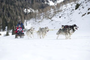 Winterurlaub in Kärnten: Husky Safari