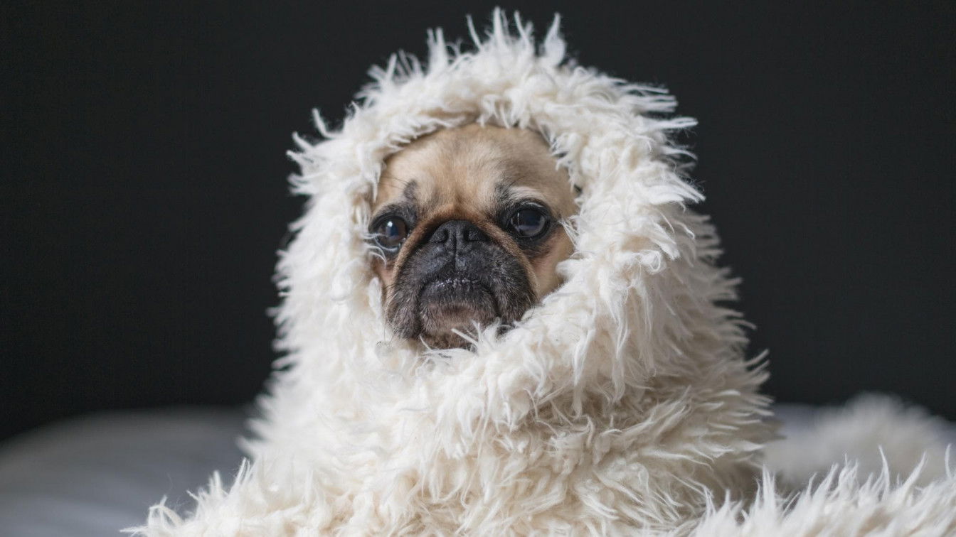 https://unsplash.com/photos/n5vuEc86Zg8 Stimmungstief Winter
