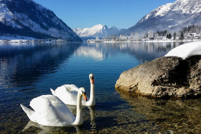 Beitragsbild