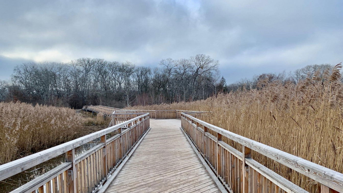 (c) Lisa Oberndorfer | 1000things 22. Bezirk Lobau