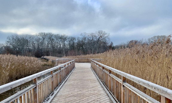 22. Bezirk Lobau