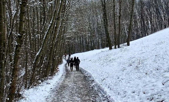 Schnee Wien