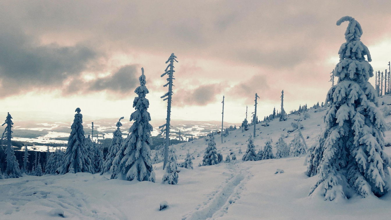 (c) Denise Derflinger Schneeschuhwanderungen Oberösterreich