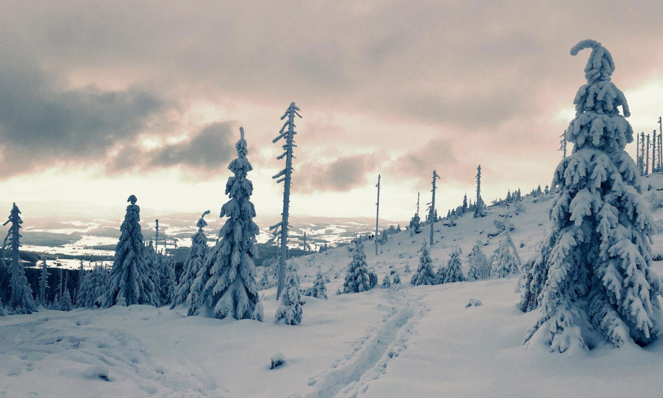 Schneeschuhwanderungen Oberösterreich