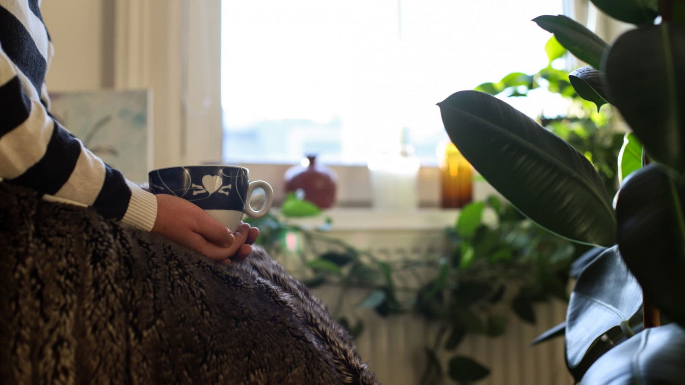 (c) Magdalena Mösenlechner Zu Hause