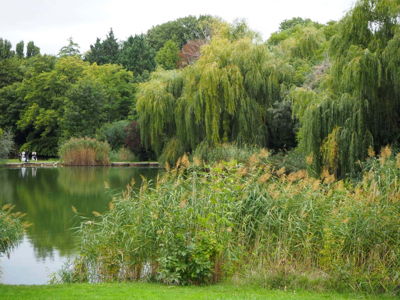 Kurpark Oberlaa: Ein entspanntes Ausflugsziel in Wiens Umgebung, 1100