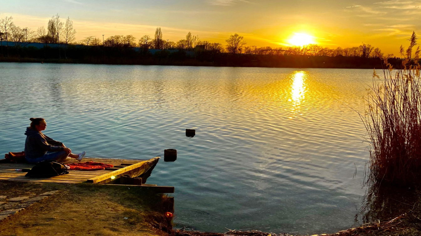 (c) Luisa Lutter | 1000things Alte Donau