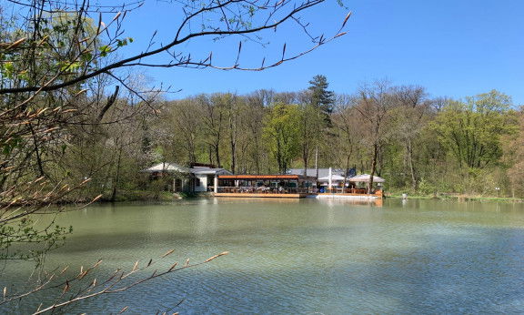 Klee am Hanslteich