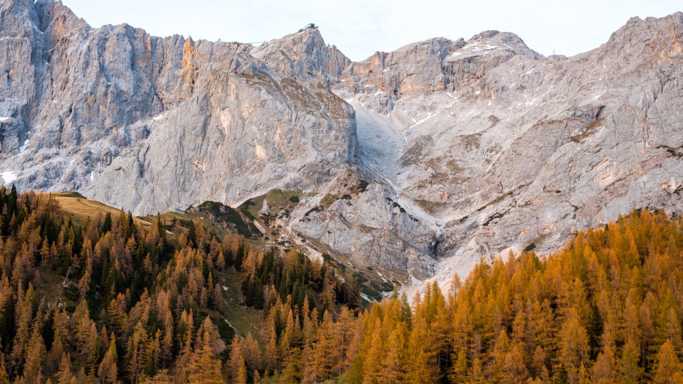 (c) Johanna Welling | 1000things Creator Community